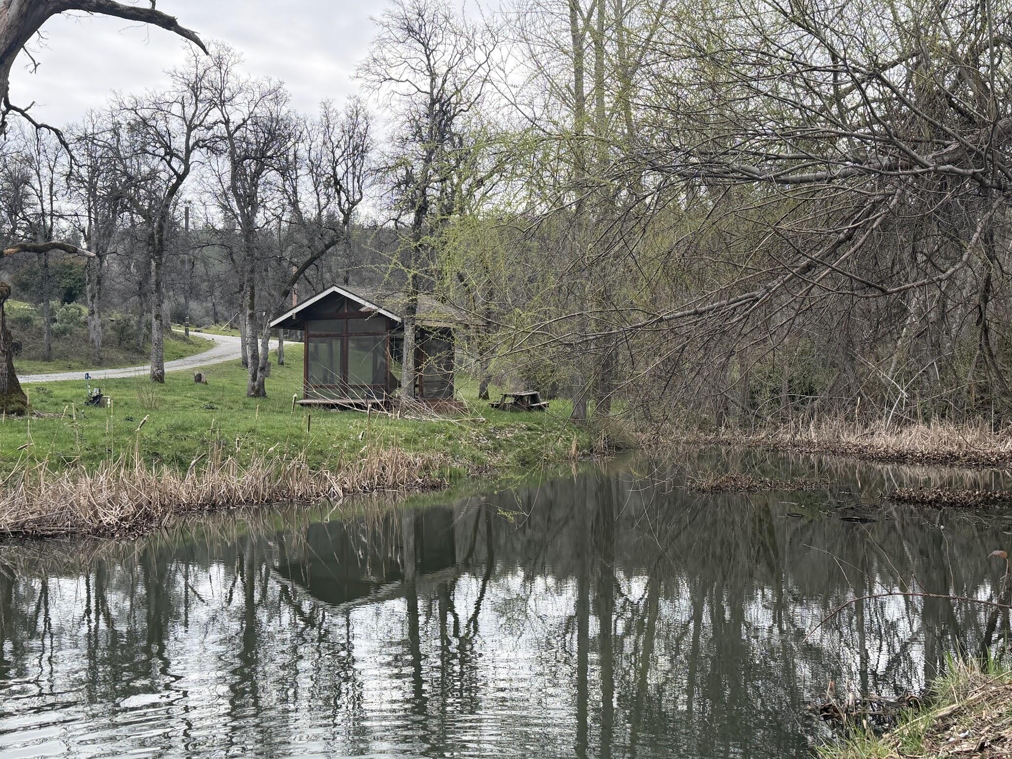 6841 Vista Lavega Road Shingletown, CA 96088 - Photo 70 of 80 IMG_9641