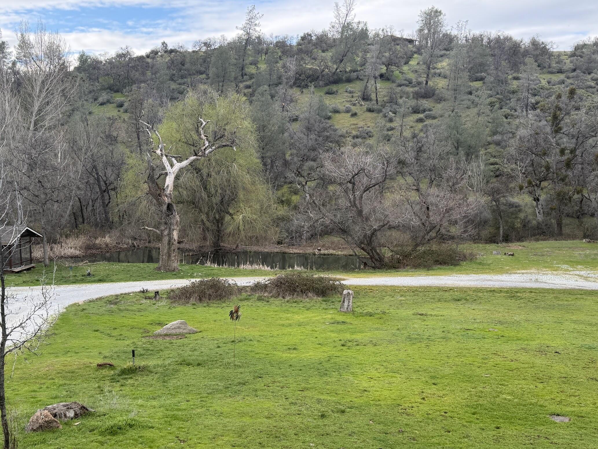 6841 Vista Lavega Road Shingletown, CA 96088 - Photo 74 of 80 a swimming pool with trees in the background