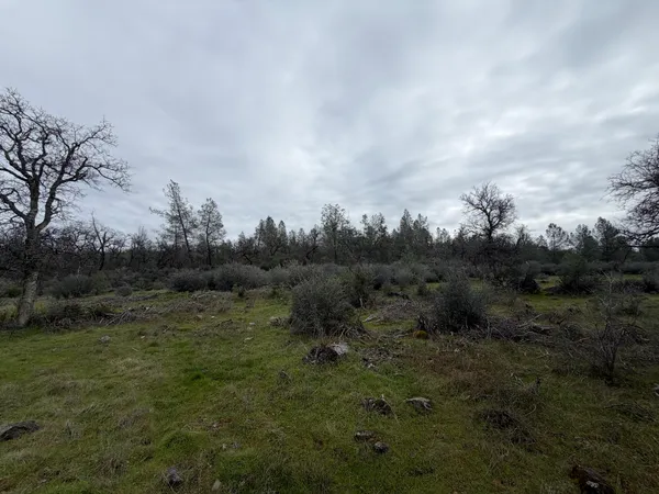 $534,500 | 6841 Vista Lavega Road, Shingletown, CA 96088