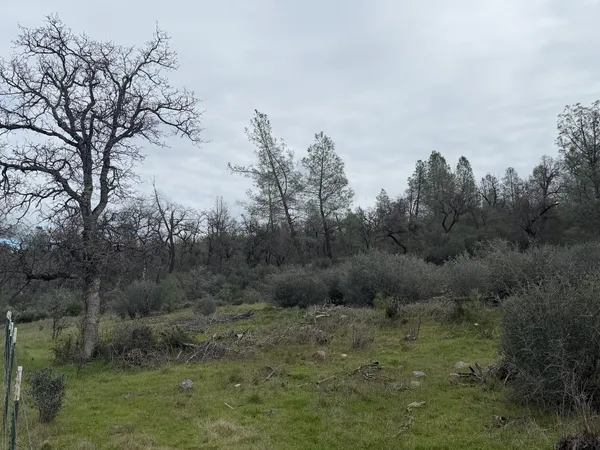 $534,500 | 6841 Vista Lavega Road, Shingletown, CA 96088