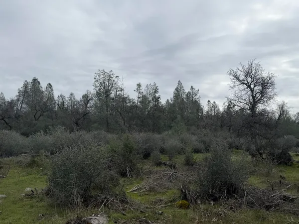 $534,500 | 6841 Vista Lavega Road, Shingletown, CA 96088