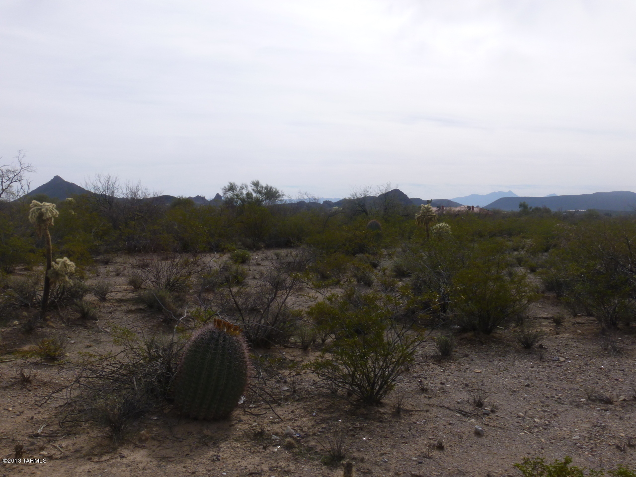 5675 West Bopp Road, Unit 10 Tucson, AZ 85735 - Photo 1 of 4