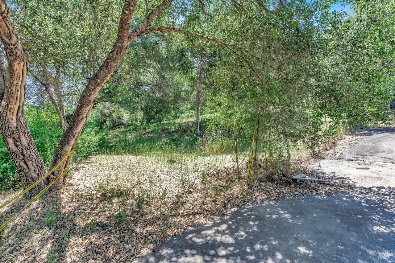 1400 Riebli Road Santa Rosa, CA 95404 - Photo 29 of 48 a view of a lake with lots of trees