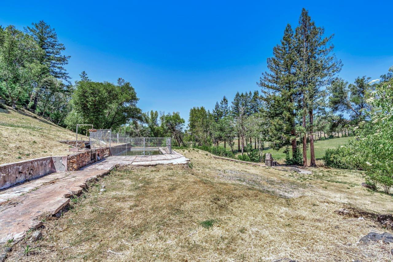 1400 Riebli Road Santa Rosa, CA 95404 - Photo 30 of 48 a view of a yard with trees