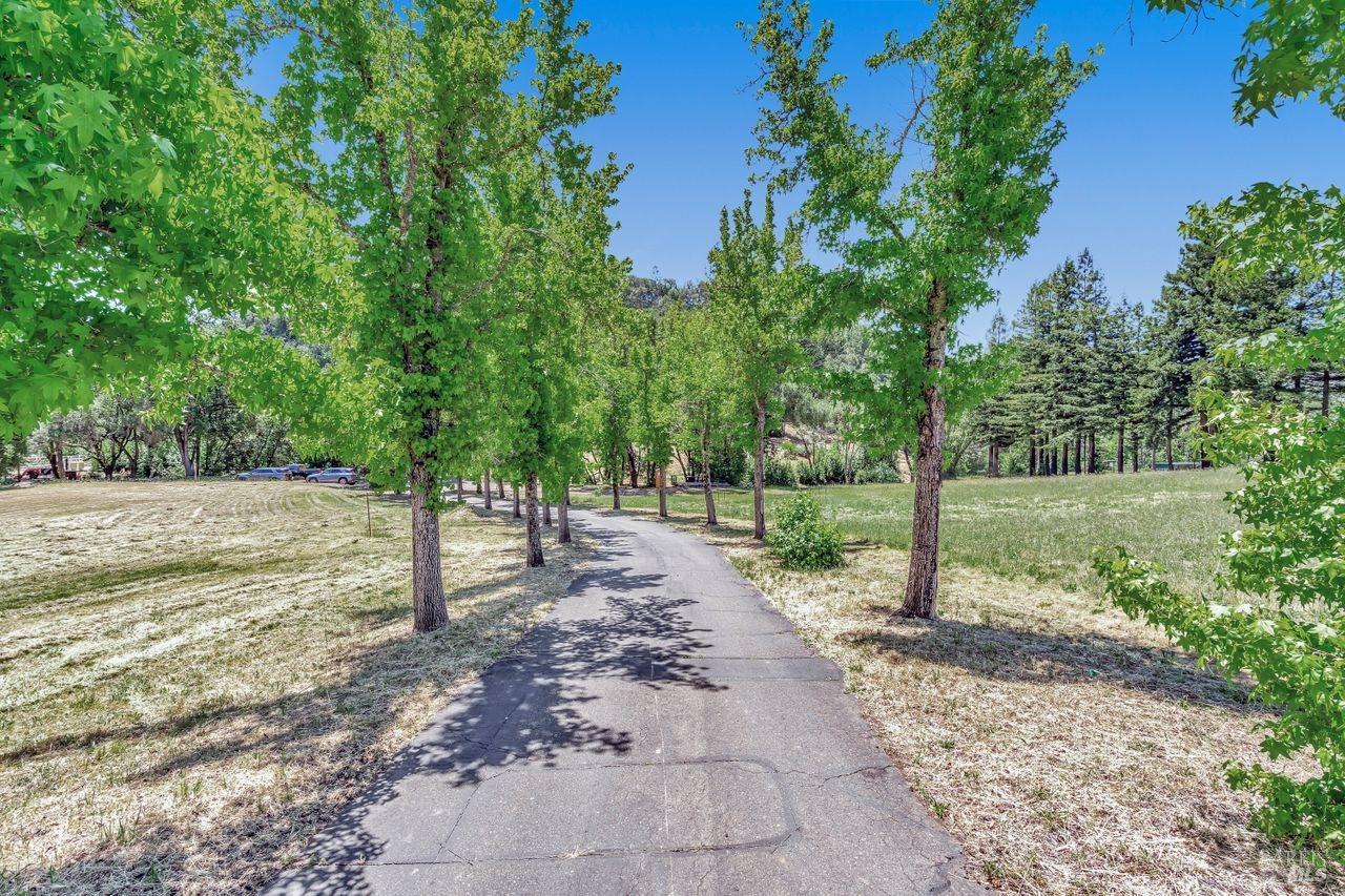 1400 Riebli Road Santa Rosa, CA 95404 - Photo 43 of 48 a view of a road with a tree