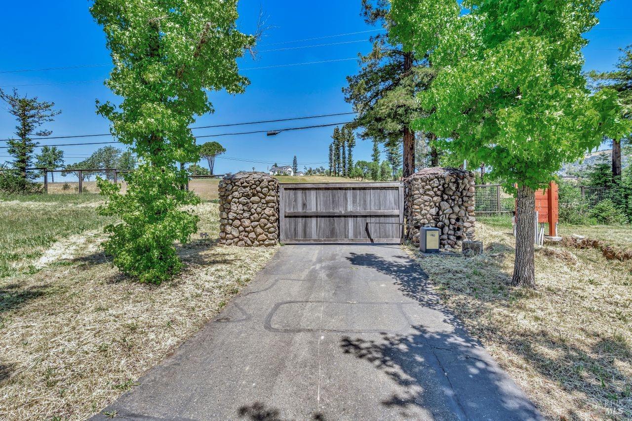 1400 Riebli Road Santa Rosa, CA 95404 - Photo 46 of 48 a view of a yard with plants and trees