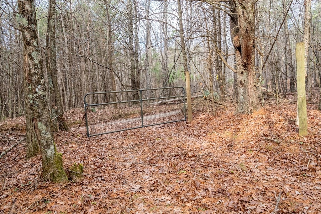 0 Marian Road Dugspur, VA 24325 - Photo 20 of 31 Gallery Image 20