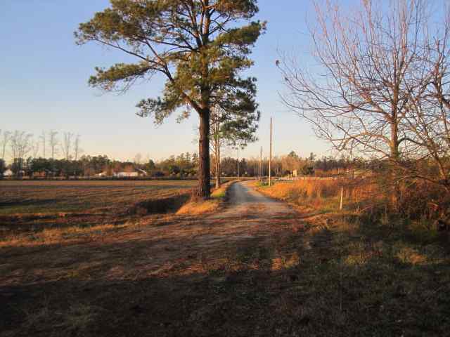 1001 Brown Swamp Road Conway, SC 29527 - Photo 2 of 14 Gallery Image 2