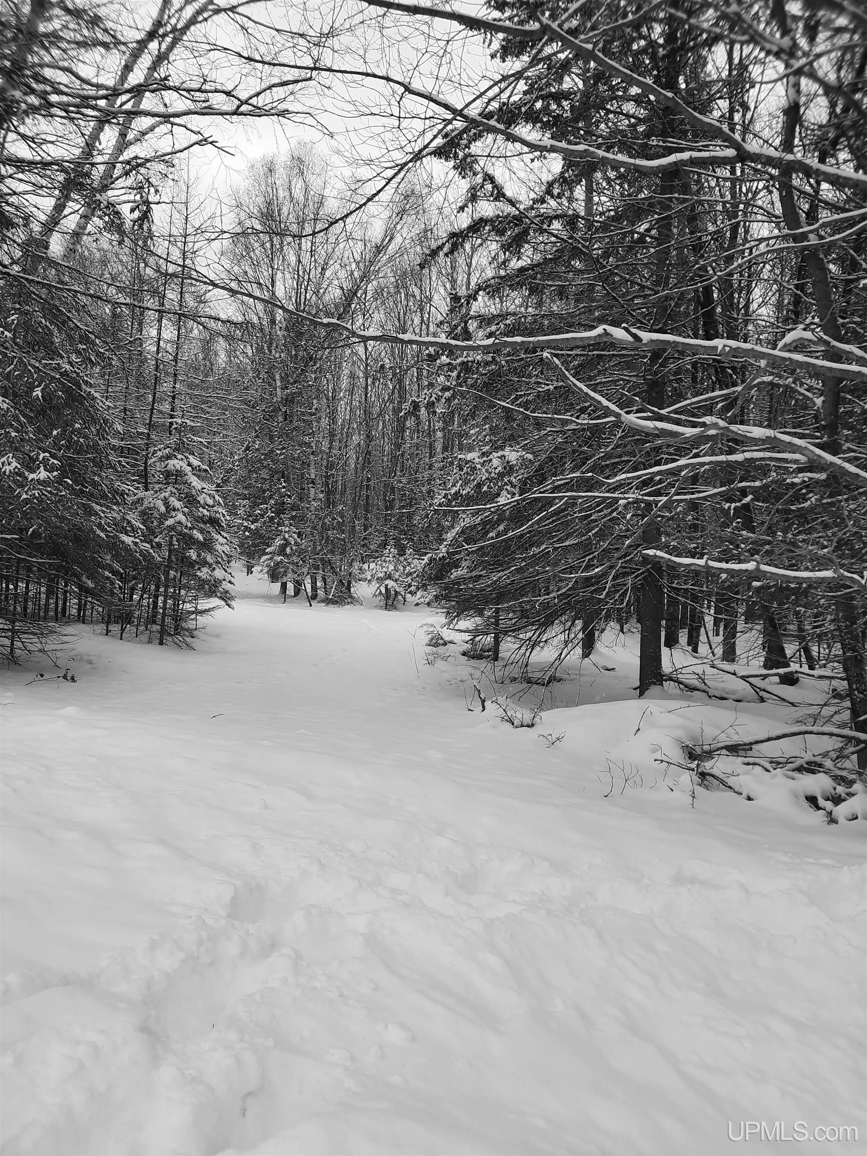 J1 Rd Carney Mi 49812 Road Carney, MI 49812 - Photo 4 of 4