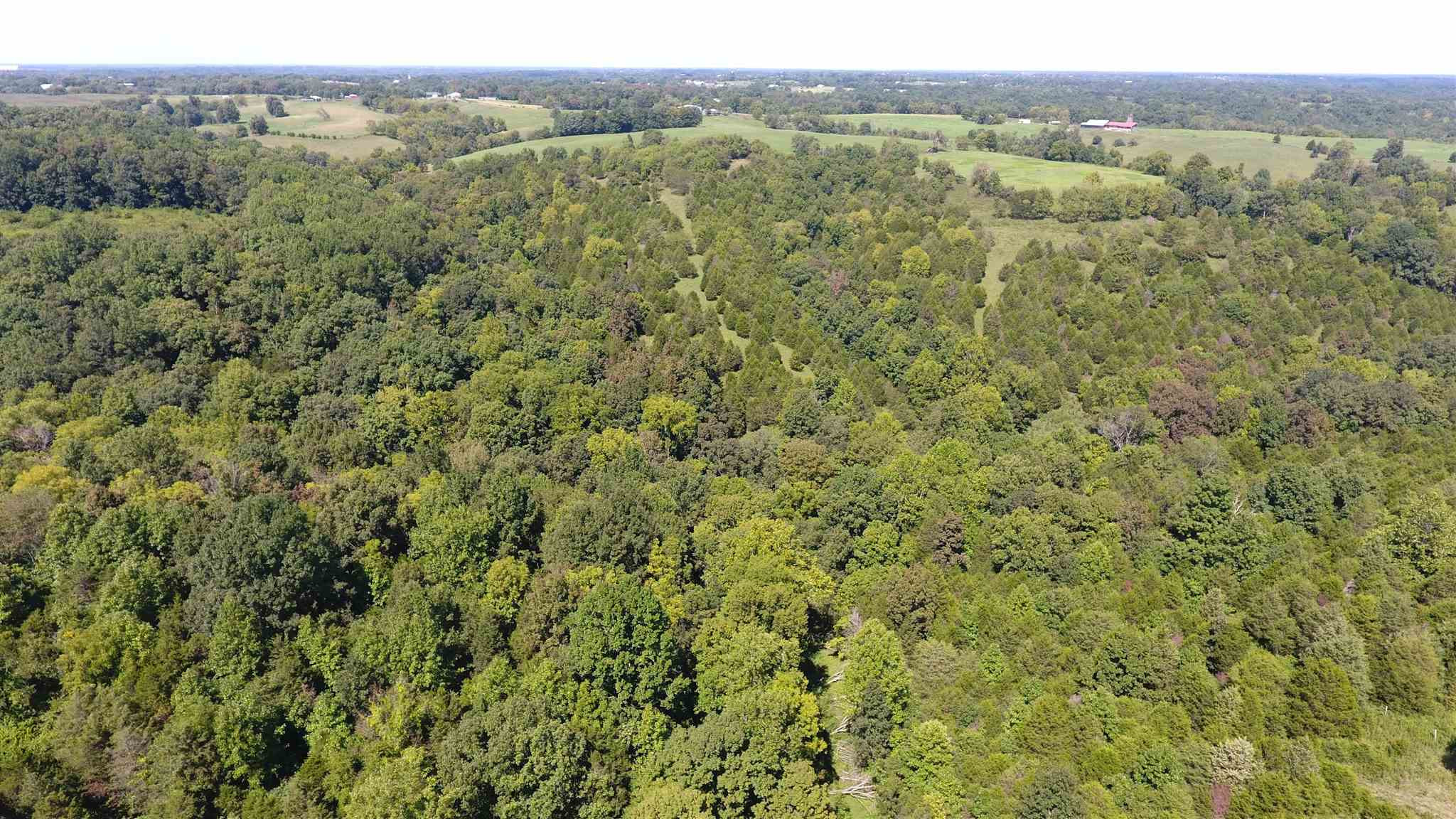 59.02 Acres Stewart Ridge Road Sparta, KY 41086 - Photo 8 of 30