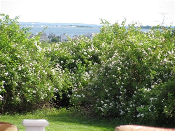 82 Shaws Cove Road Fairhaven, MA 02719 - Photo 13 of 27 Gallery Image 13