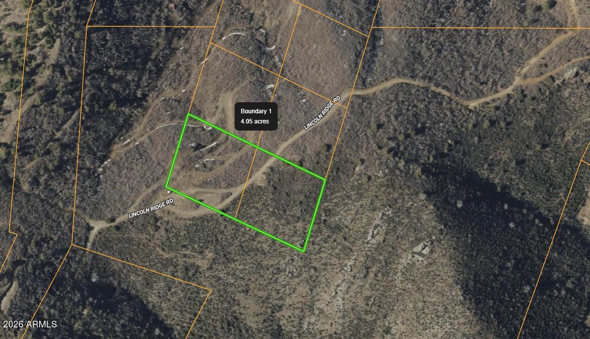 0 East Lincoln Ridge Road Crown King, AZ 86343 - Photo 28 of 28