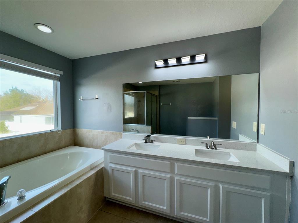 18403 Fish Loop Land O Lakes, FL 34638 - Photo 43 of 64 a bathroom with a double vanity sink and a mirror