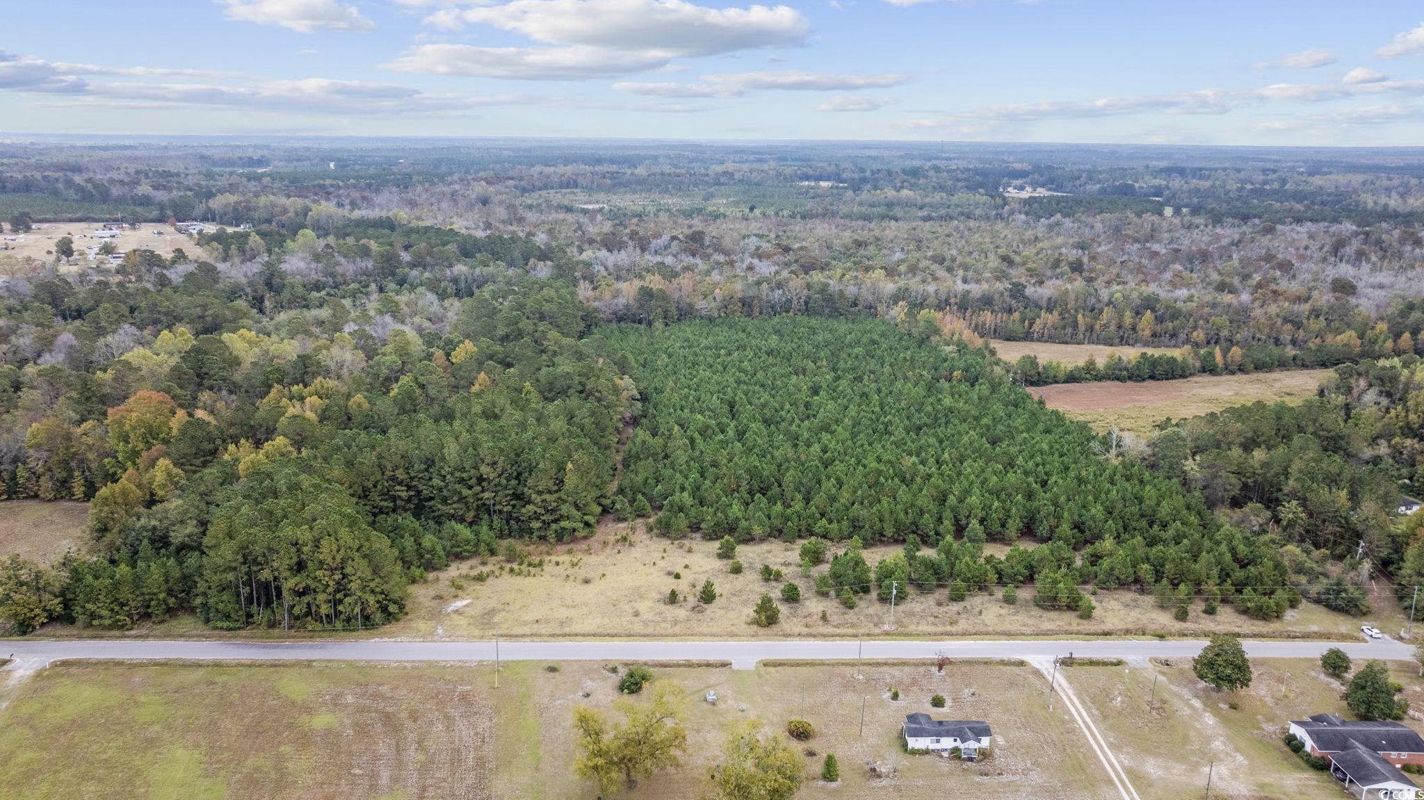 Lot 2 Creek Landing Road Nichols, SC 29581 - Photo 11 of 22 Gallery Image 11