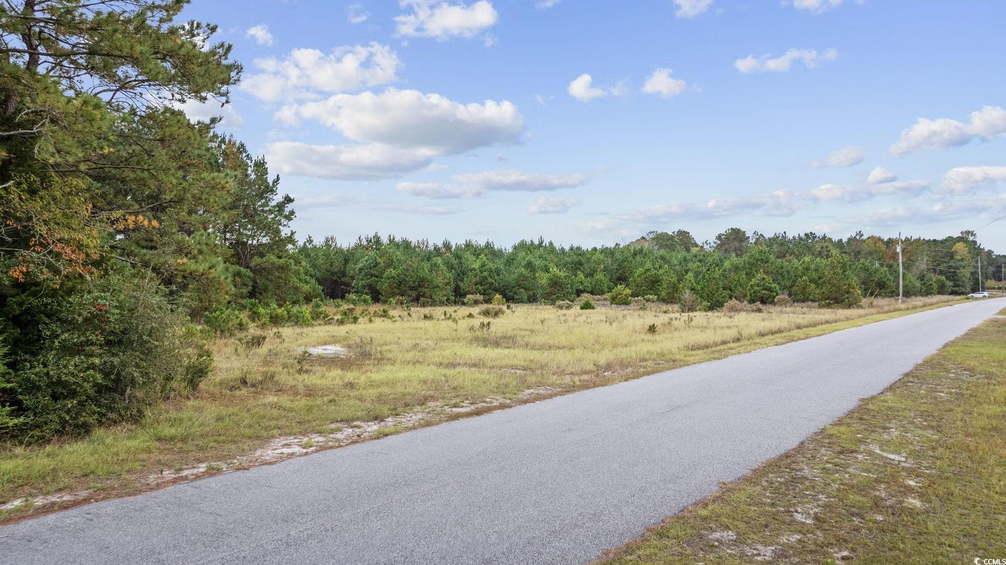 Lot 2 Creek Landing Road Nichols, SC 29581 - Photo 15 of 22 Gallery Image 15