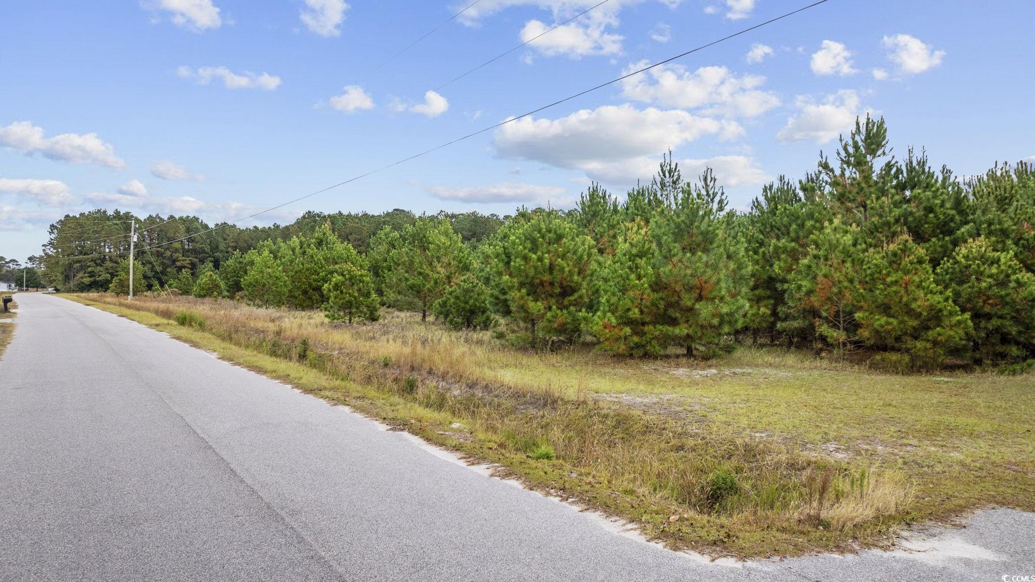Lot 2 Creek Landing Road Nichols, SC 29581 - Photo 16 of 22 Gallery Image 16