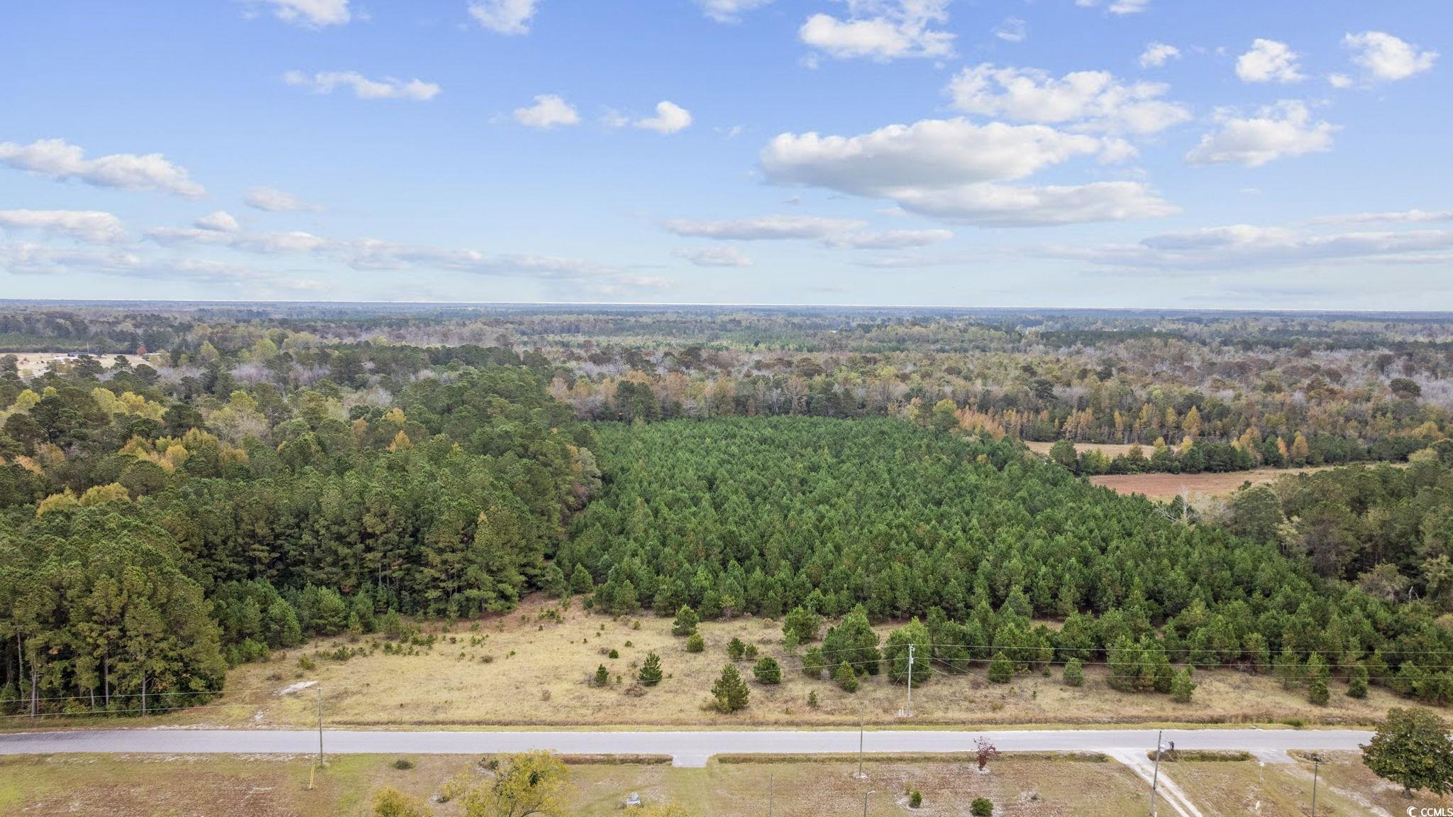 Lot 2 Creek Landing Road Nichols, SC 29581 - Photo 19 of 22 Gallery Image 19