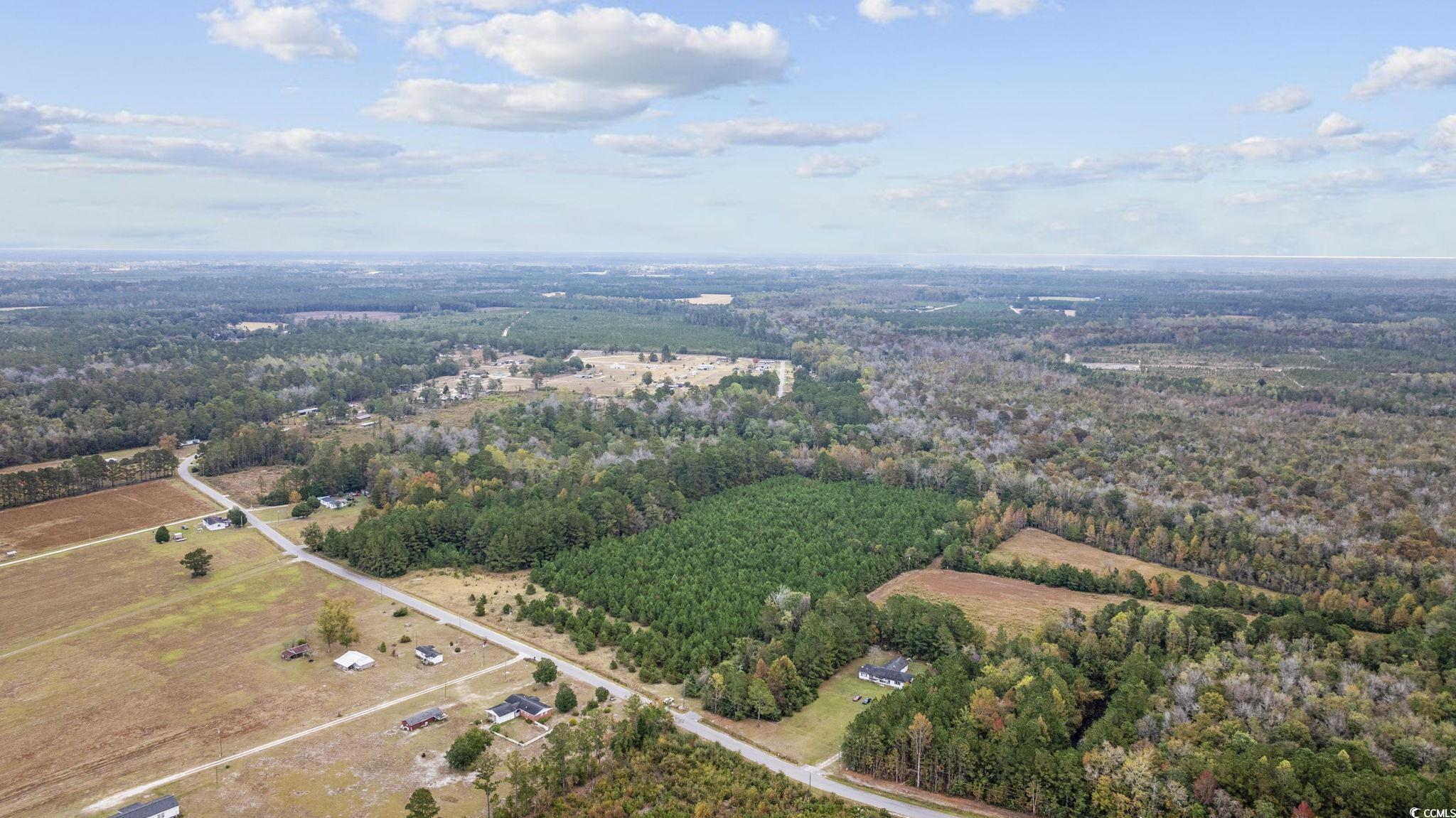 Lot 2 Creek Landing Road Nichols, SC 29581 - Photo 20 of 22 Gallery Image 20