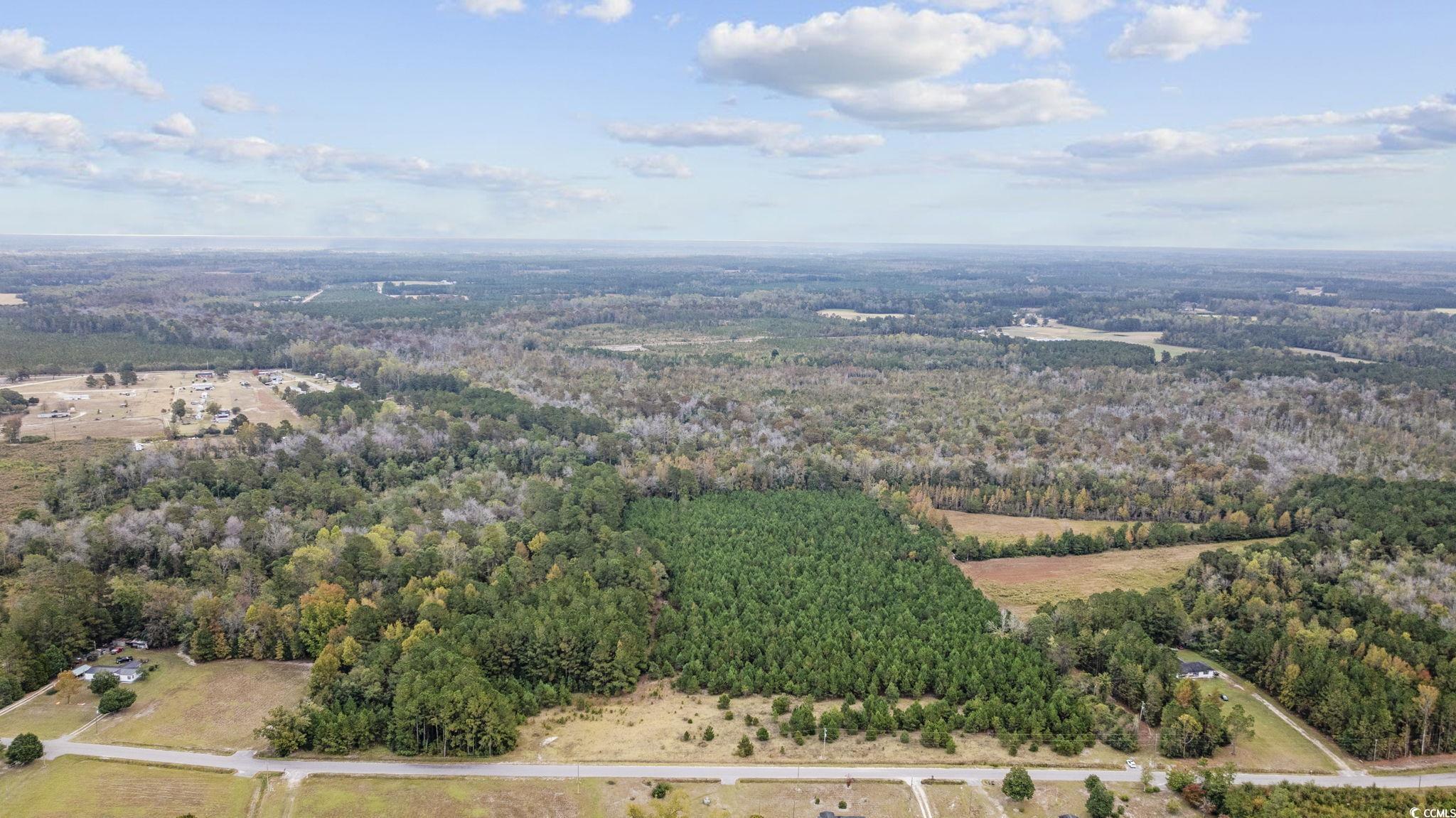 Lot 2 Creek Landing Road Nichols, SC 29581 - Photo 22 of 22 Gallery Image 22