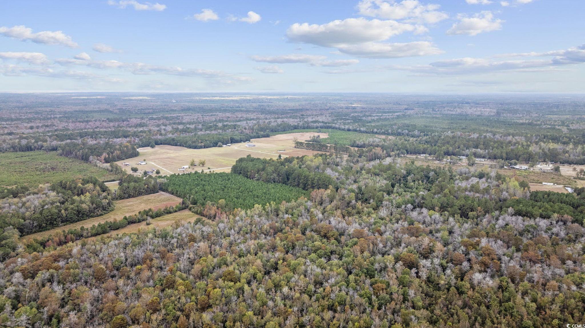 Lot 2 Creek Landing Road Nichols, SC 29581 - Photo 8 of 22 Gallery Image 8