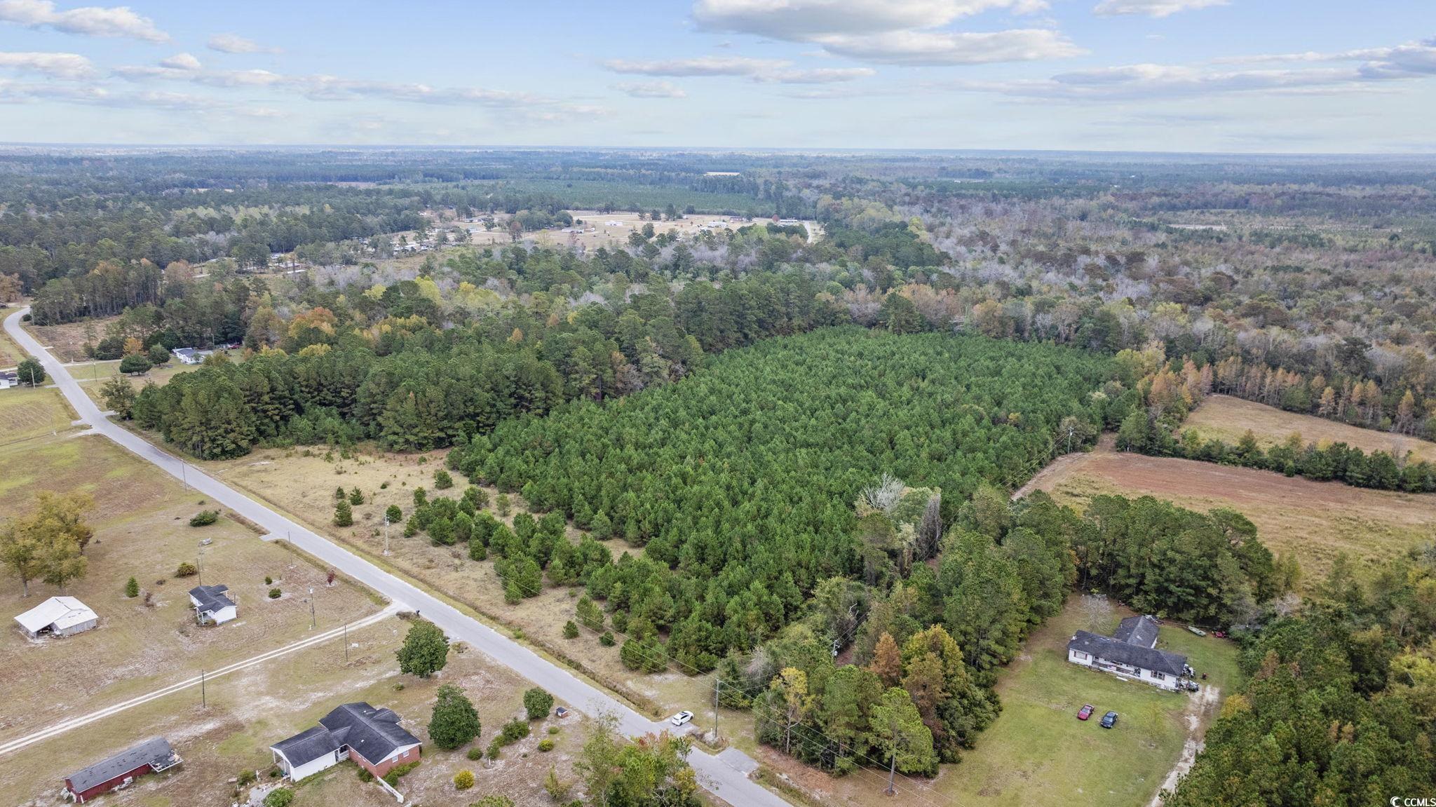 Lot 2 Creek Landing Road Nichols, SC 29581 - Photo 10 of 22 Gallery Image 10