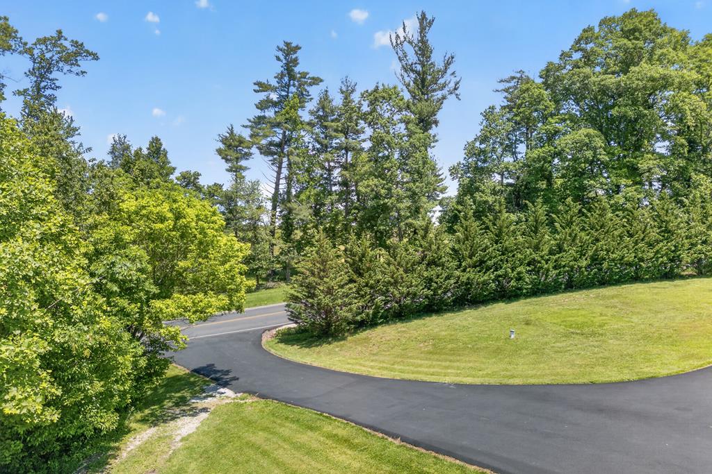 644 Daniels Run Road Northeast Copper Hill, VA 24079 - Photo 58 of 74 Gallery Image 58