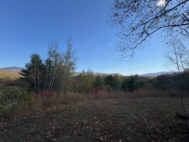 19 Village Road Shelburne, NH 03581 - Photo 41 of 45