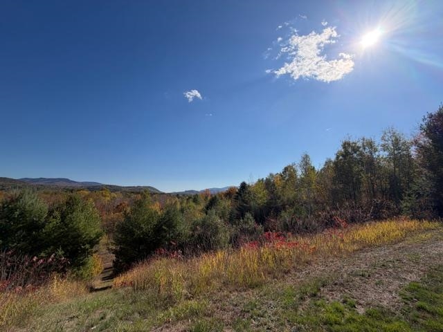 19 Village Road Shelburne, NH 03581 - Photo 44 of 45