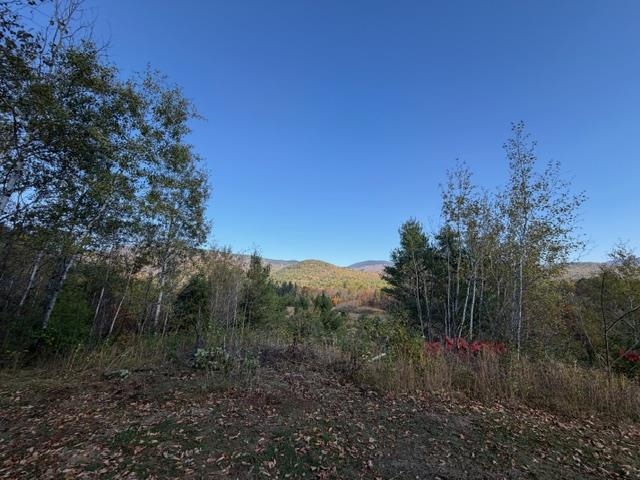 19 Village Road Shelburne, NH 03581 - Photo 45 of 45