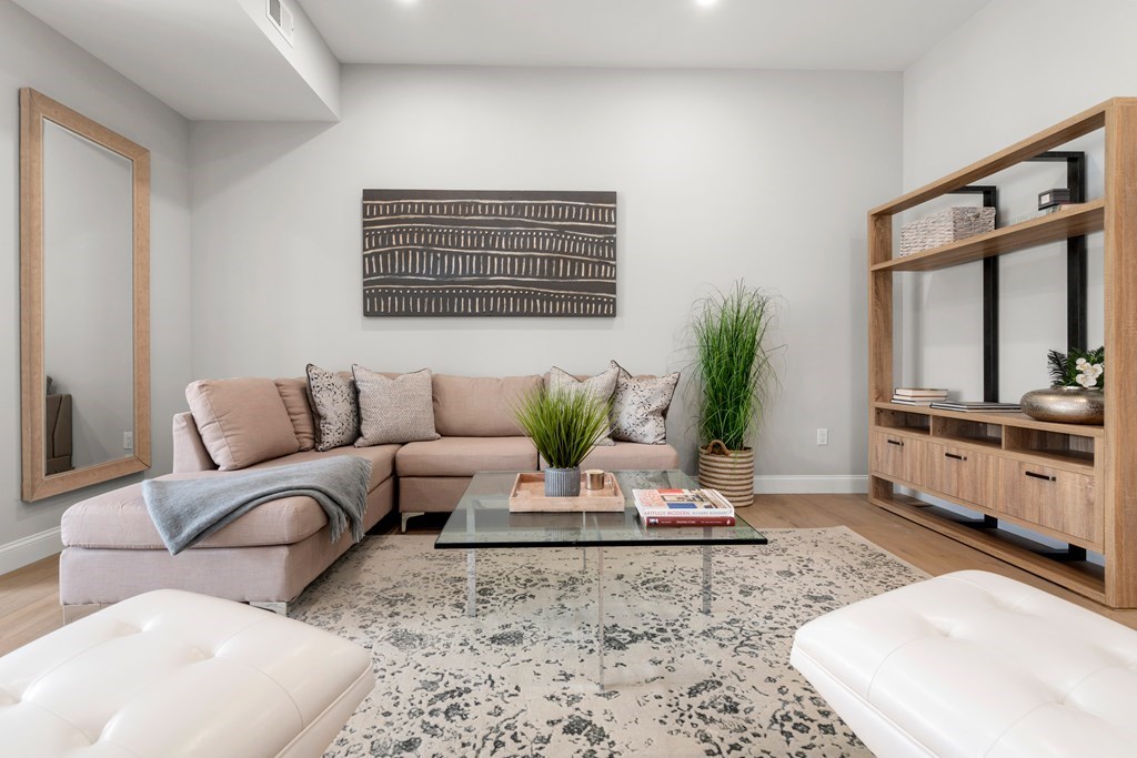 54 Pleasant Street, Unit 5 Boston, MA 02125 - Photo 20 of 23 a living room with furniture a window and a potted plant