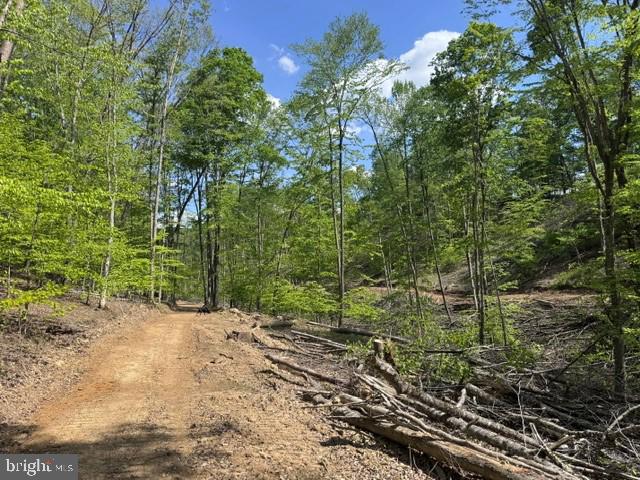 Tbd Shaffers Run Road Mill Creek, WV 26280 - Photo 43 of 43