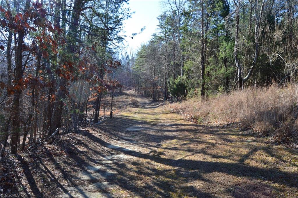Tract H Hanging Rock Forest Road, Unit H Danbury, NC 27016 - Photo 12 of 36