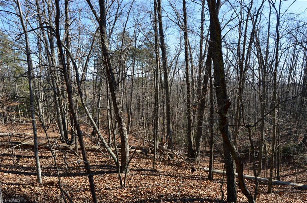 Tract H Hanging Rock Forest Road, Unit H Danbury, NC 27016 - Photo 13 of 36