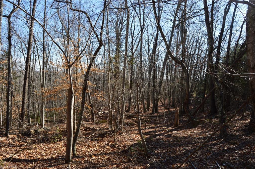 Tract H Hanging Rock Forest Road, Unit H Danbury, NC 27016 - Photo 17 of 36