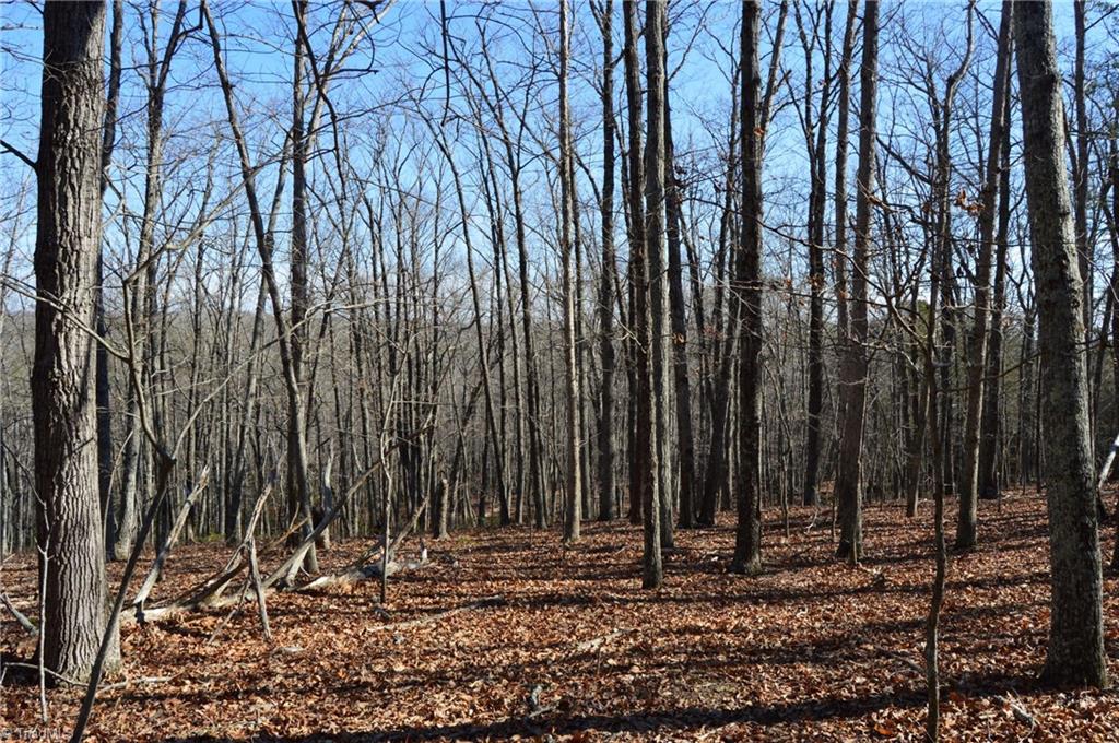 Tract H Hanging Rock Forest Road, Unit H Danbury, NC 27016 - Photo 20 of 36