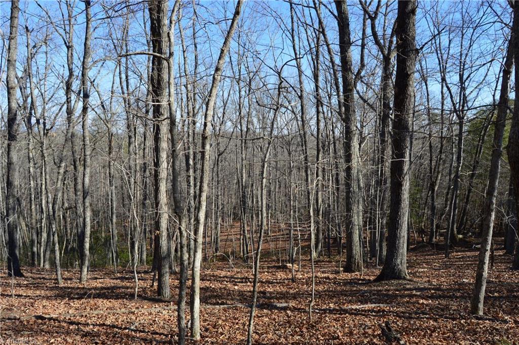 Tract H Hanging Rock Forest Road, Unit H Danbury, NC 27016 - Photo 22 of 36