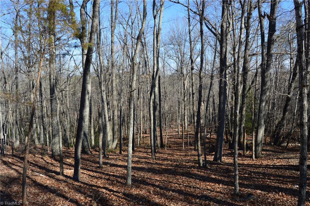 Tract H Hanging Rock Forest Road, Unit H Danbury, NC 27016 - Photo 23 of 36