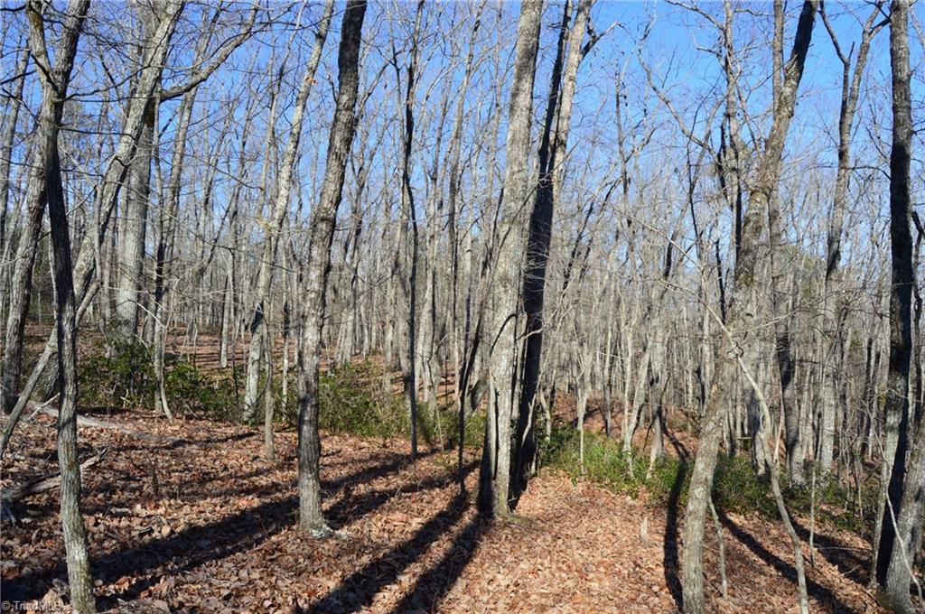 Tract H Hanging Rock Forest Road, Unit H Danbury, NC 27016 - Photo 24 of 36