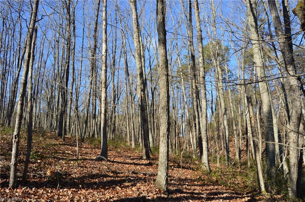 Tract H Hanging Rock Forest Road, Unit H Danbury, NC 27016 - Photo 26 of 36
