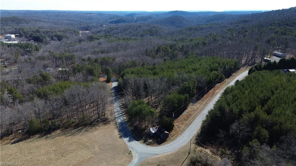 Tract H Hanging Rock Forest Road, Unit H Danbury, NC 27016 - Photo 3 of 36