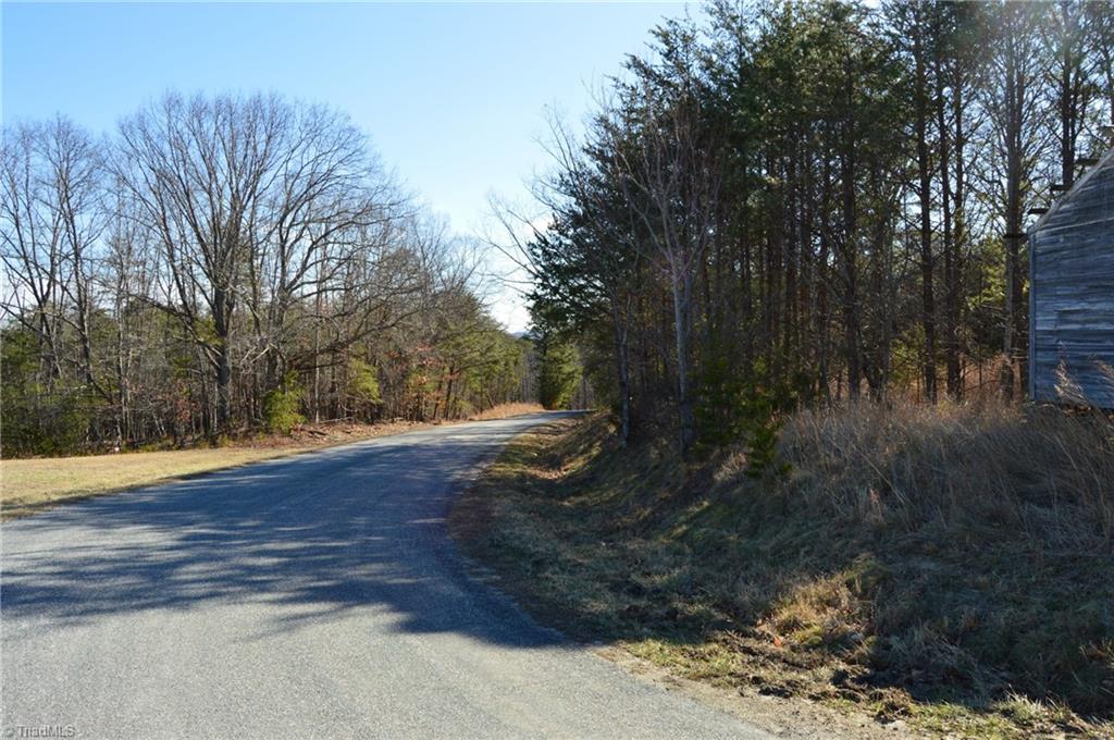 Tract H Hanging Rock Forest Road, Unit H Danbury, NC 27016 - Photo 31 of 36