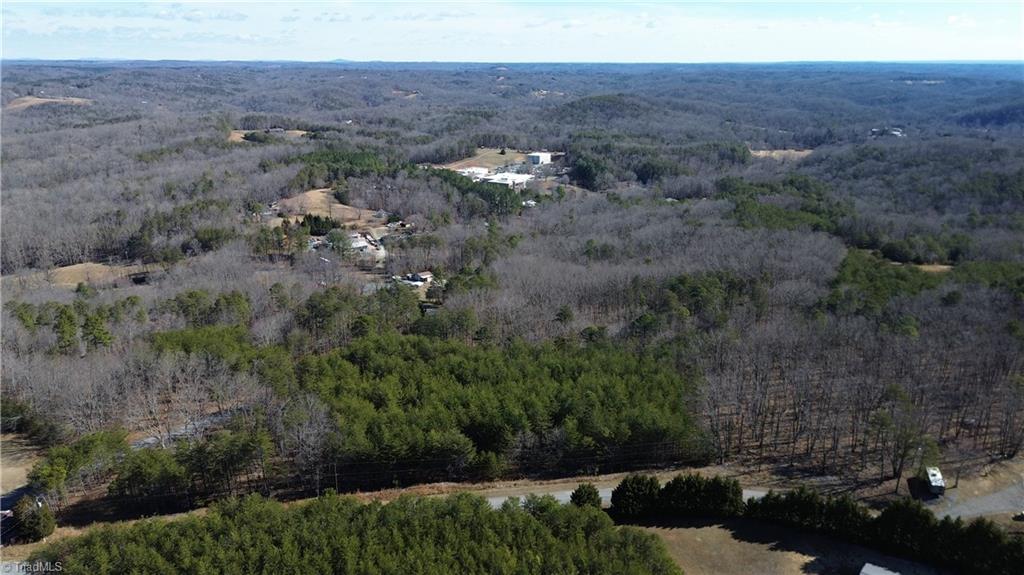 Tract H Hanging Rock Forest Road, Unit H Danbury, NC 27016 - Photo 5 of 36