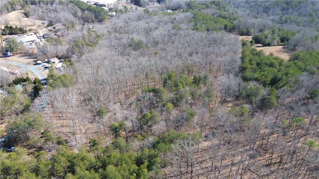 Tract H Hanging Rock Forest Road, Unit H Danbury, NC 27016 - Photo 6 of 36