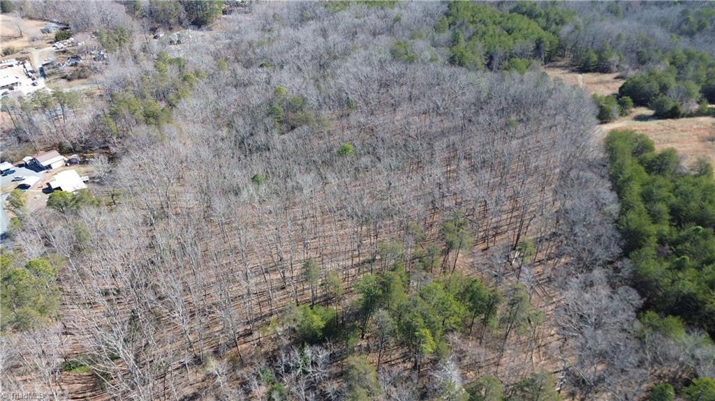 Tract H Hanging Rock Forest Road, Unit H Danbury, NC 27016 - Photo 7 of 36