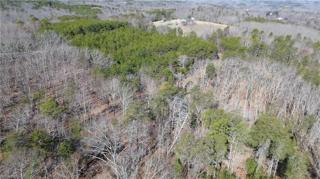 Tract H Hanging Rock Forest Road, Unit H Danbury, NC 27016 - Photo 10 of 36