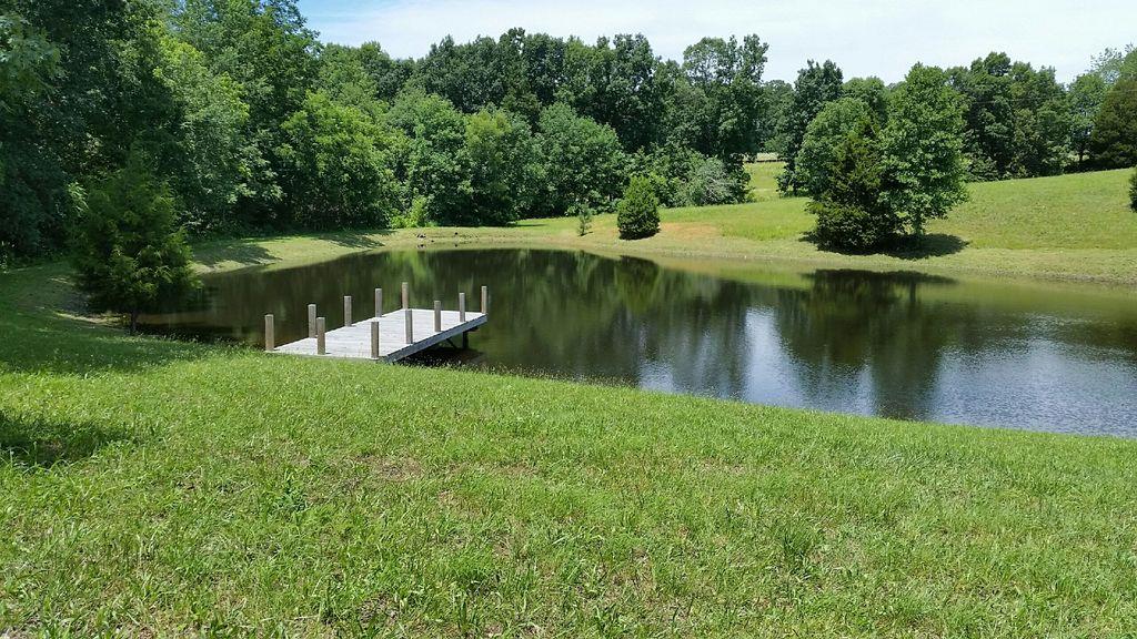 7686 Barnhill Road Primm Springs, TN 38476 - Photo 1 of 8 Gallery Image 1