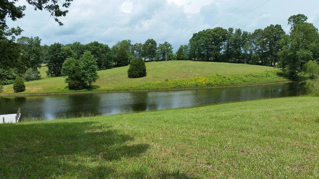 7686 Barnhill Road Primm Springs, TN 38476 - Photo 2 of 8 Gallery Image 2