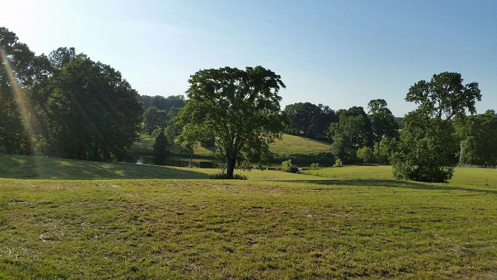 7686 Barnhill Road Primm Springs, TN 38476 - Photo 5 of 8 Gallery Image 5
