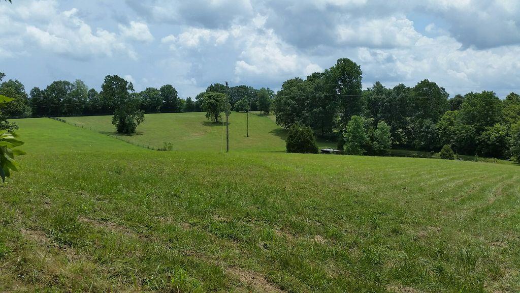 7686 Barnhill Road Primm Springs, TN 38476 - Photo 6 of 8 Gallery Image 6