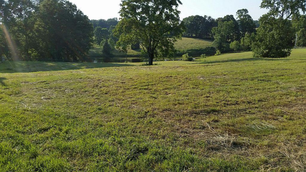 7686 Barnhill Road Primm Springs, TN 38476 - Photo 7 of 8 Gallery Image 7